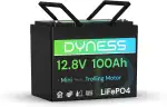Dyness Lithium Batterie 12V 100Ah LiFePO4 Mini Akku mit 100A BMS, Niedertemperaturschutz, Max.15000 Zyklen, für Bootsmotor, Wohnwagen, Batterie Box, Solarsysteme, Netzunabhängige Systeme