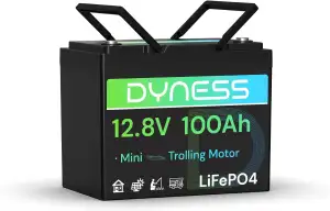 Dyness Lithium Batterie 12V 100Ah LiFePO4 Mini Akku mit 100A BMS, Niedertemperat