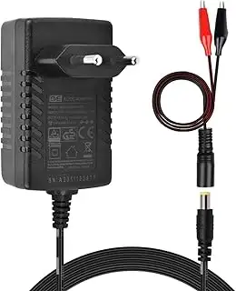 TalentCell 14.4 14.6V/1.5A Smart Charger, AC DC Power Adapter Ladegerät, 12V LiFePO4 Akkus Ladege...