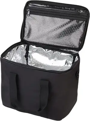 revolt Transporttasche: Gepolsterte Schutz- & Tragetasche für Powerstations, 30 