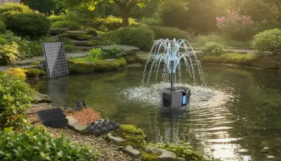 Solarpumpe optimal nutzen und pflegen